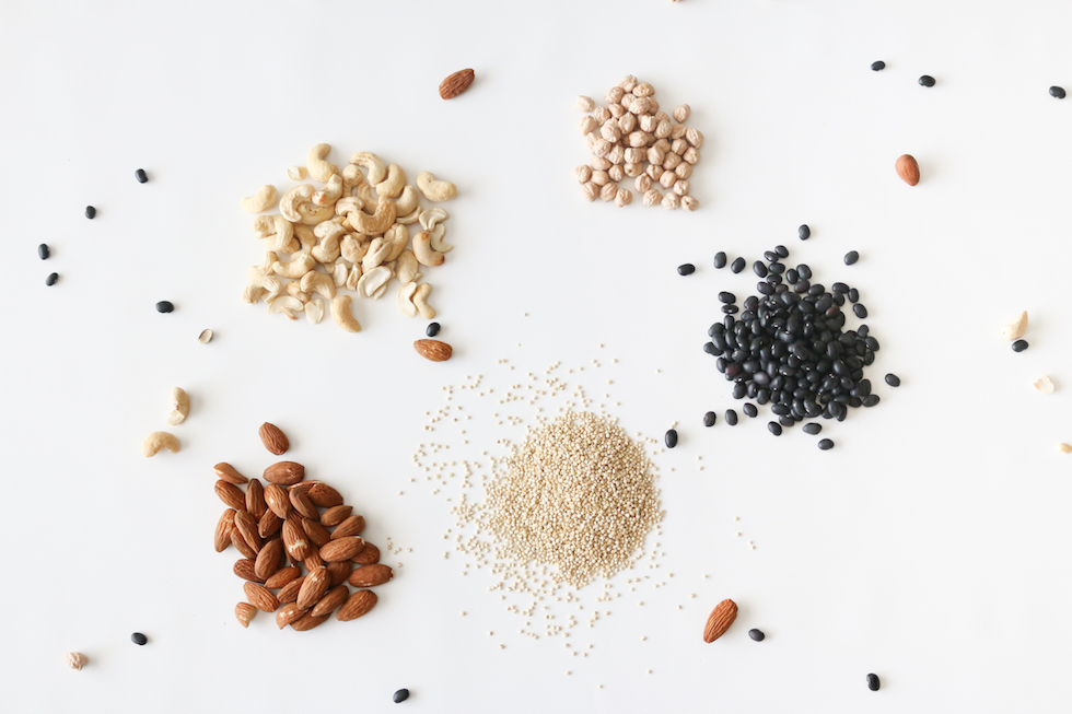 A Plant-based Protein Guide