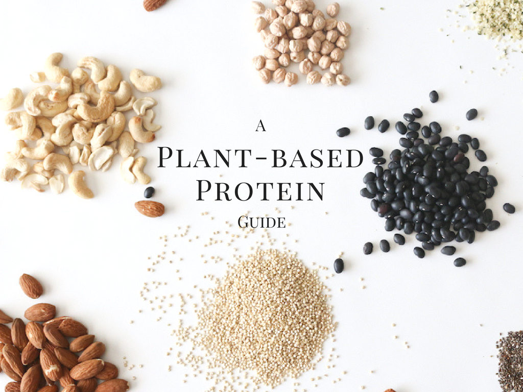 A Plant-based Protein Guide