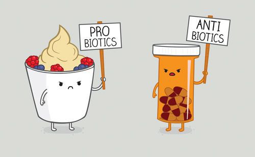 Probiotics vs Antibiotics | www.LiveSimplyNatural.com