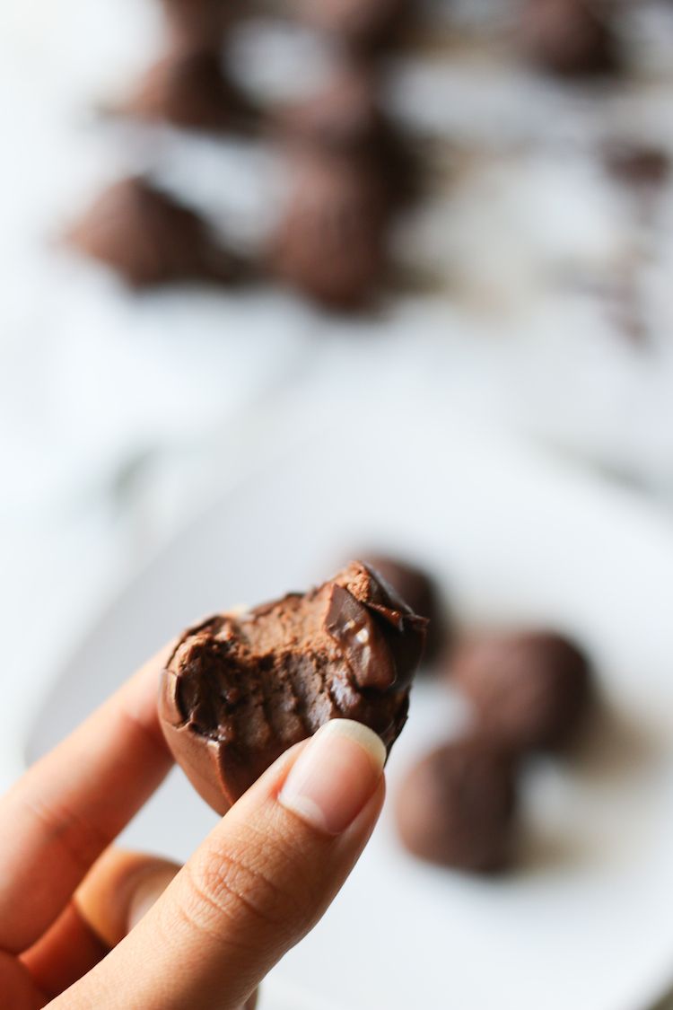 5 Ingredient No Bake Vegan Brownie Bites