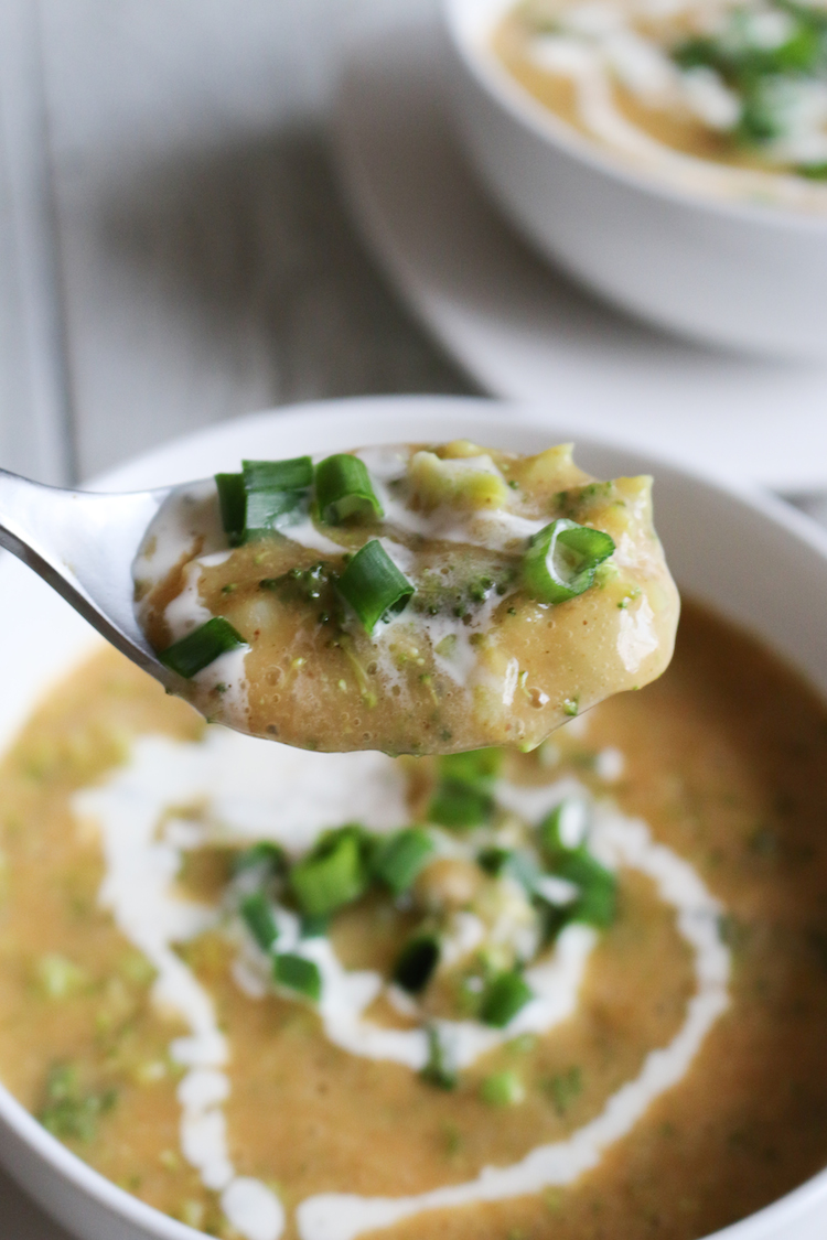 Vegan Vegetable Broccoli and Cheese Soup