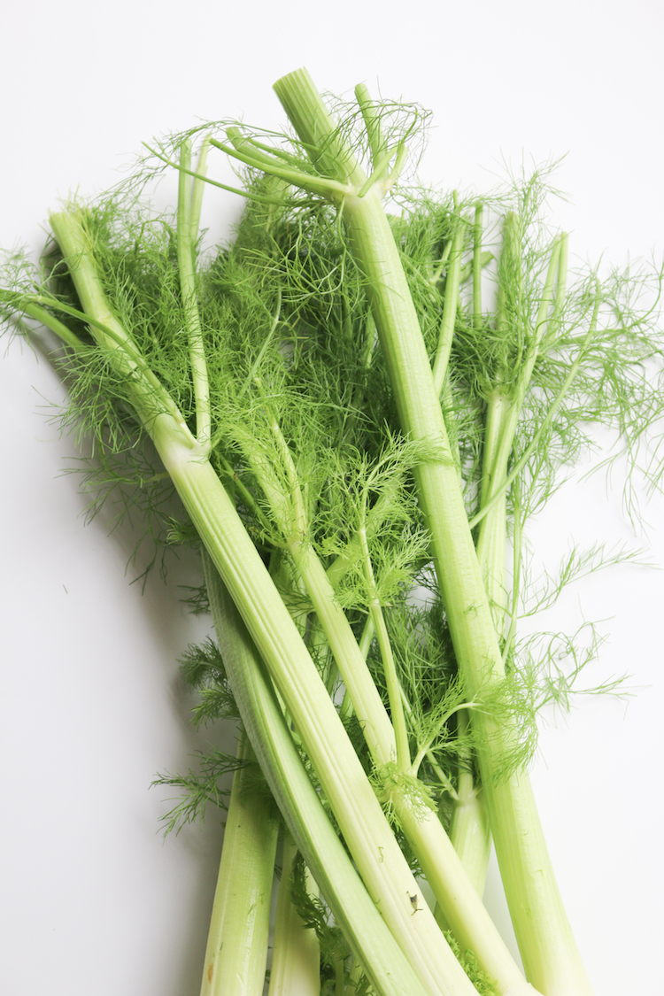 Produce Guide: Fennel | www.livesimplynatural.com