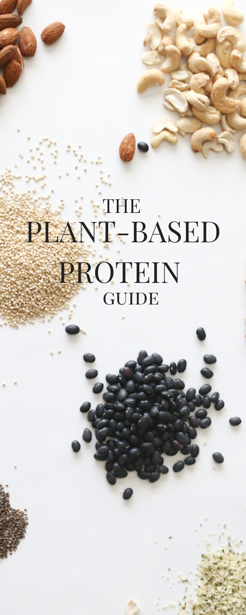 The Plant-based Protein Guide